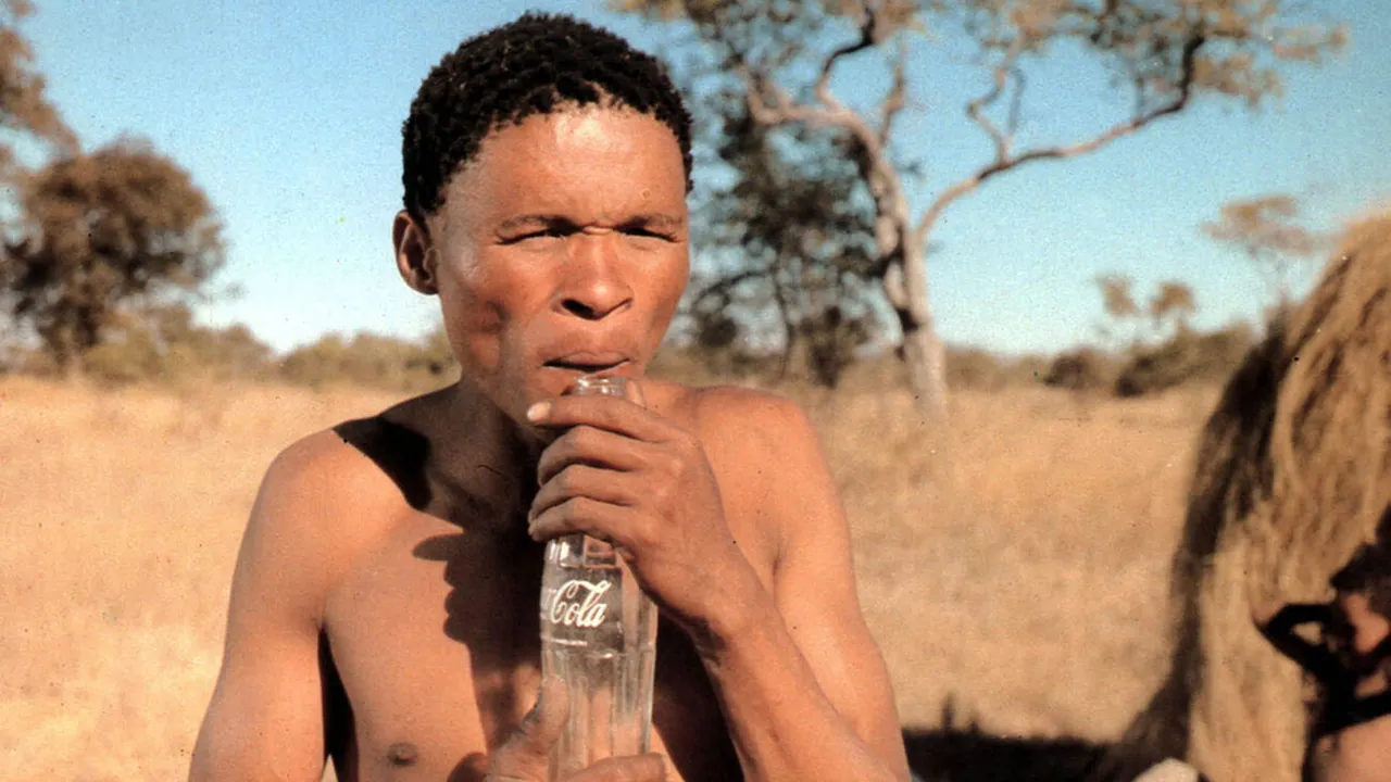 The Gods Must Be Crazy (1980) still
