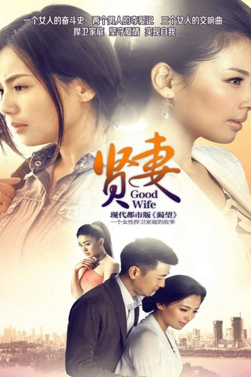 Good Wife (2013) পোস্টার