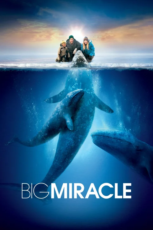 Big Miracle (2012) poster