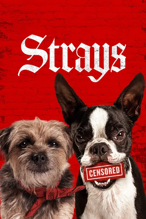 Strays (2023) পোস্টার