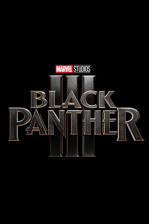 Black Panther 3 (2028) poster
